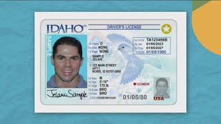 Idaho's state bird coming to redesigned driver's licenses