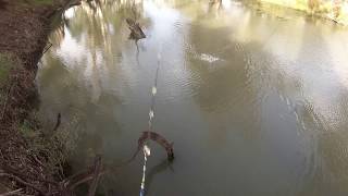 20200506 Murray Cod surface miss