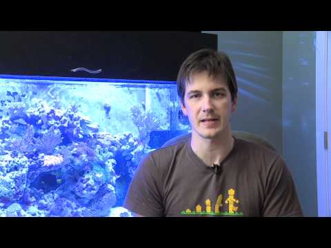 Mr. Saltwater Tank TV Friday AM Quick Tip #17: I Come in Peace!