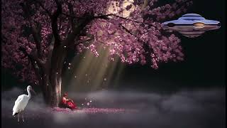 Piano calming classical soft music for study: Beautiful nature with classic music screenshot 5
