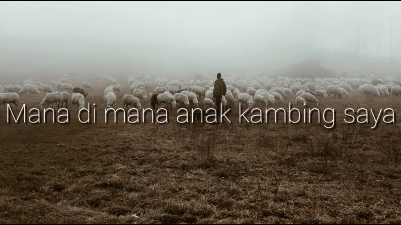 Lirik Lagu "Anak Kambing Saya" - Lagu Daerah NTT - YouTube