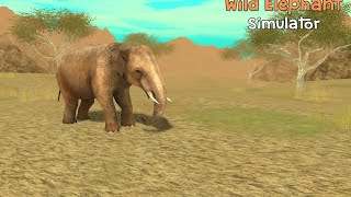 #Wild Elephant Simulator 3D - By Turbo Rocket Games Simulation - iTunes/Google play screenshot 4