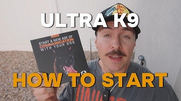 Mastering E-Collar Dog Training For AMAZING Results