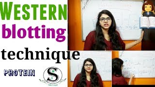 Western blotting technique | Principle | Step by Step | In Hindi