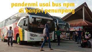 BISMANIA- pandemi usai bus nmp di banjiri penumpang.