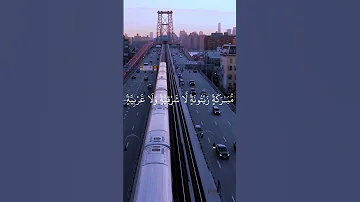 سورة النور بصوت الشيخ ياسر الدوسري الله نور السموات والأرض نور على نور 