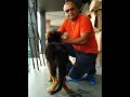 Weakness In Dogs Hind/Back legs? Causes and Solution | By Baadal Bhandaari Pathankot 9878474748