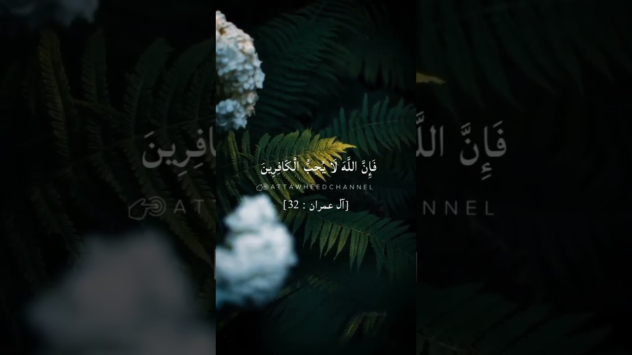 قُلْ أَطِيعُوا اللَّهَ وَالرَّسُولَ ۖ فَإِن تَوَلَّوْا فَإِنَّ اللَّهَ لَا يُحِبُّ الْكَافِرِينَ