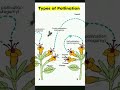 Types of pollination