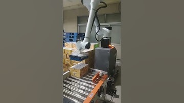 Automatic robot palletizer for small carton packaging. #robot #palletizer  #carton #packing #factory