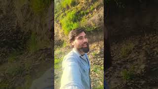 mare wafa tare kasmu #shorts #shortsfeed #shortvideo #song