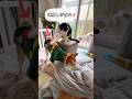 認知症は倒れるまで歩き続ける