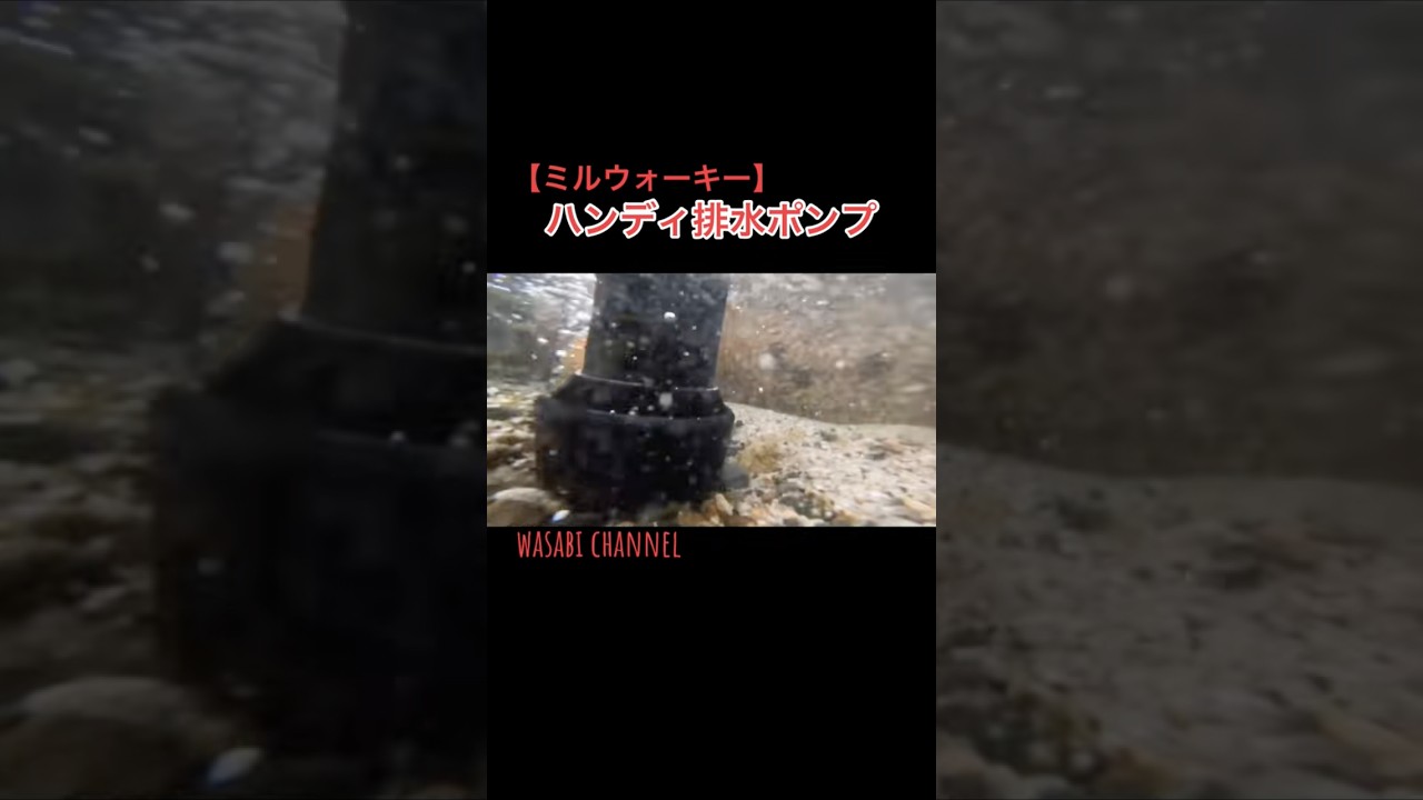 【12V】ハンディ排水ポンプがイイ感じだった!【ミルウォーキー】#12Vハンディポンプ #排水 #ミルウォーキー #milwaukee #12V #ミルウォーキー ミルウォーキー沼