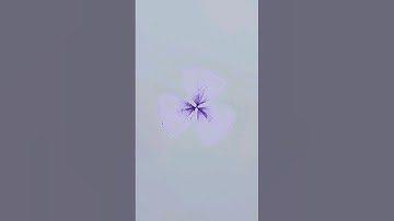 Spirograph art | New pen sketch spirograph designs