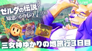 【完全初見】姫が、『姫』が人助けしてるのに全然みんなお礼の品くれない。姫泣いてるぜ。【ゼルダの伝説 知恵のかりもの #6】