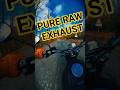 DUCATI SCRAMBLER | Raw Sound Exhaust #shorts #ducatiscrambler #leovince #pov #puresound #rawsound