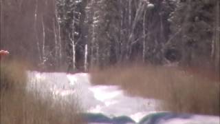 210Gr Berger Vld 1000 Yards