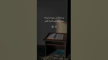 #سعدالغامدي #القرآن_الكريم #تلاوة_خاشعة #سورة_الإسراء #quran #شورتات_قرآن #foryou#اكسبلور#fyp#islam