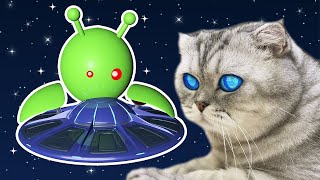 CAT and Robot UFO by Boochi Boom TV 19,868 views 1 year ago 3 minutes, 18 seconds