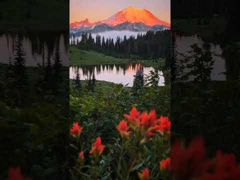 Video: Վաշինգտոնի Mount Rainier ազգային պարկ. ճանապարհորդական ուղեցույց