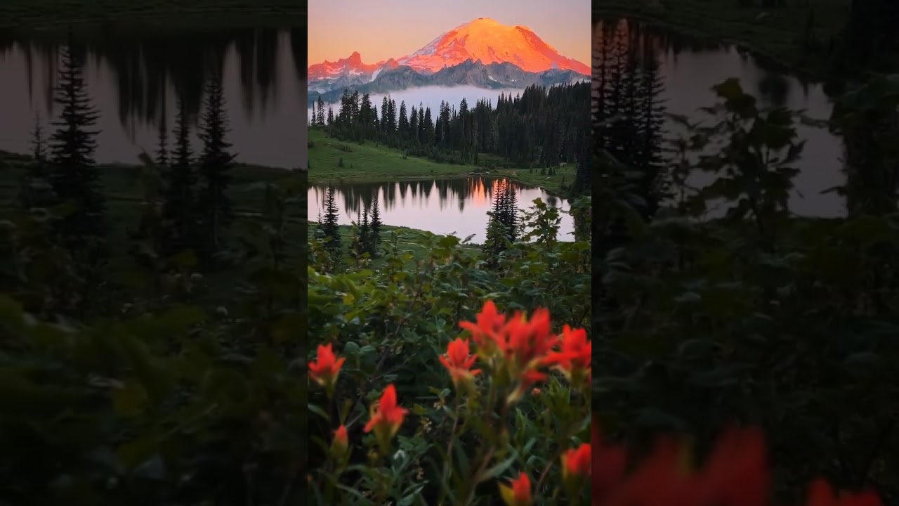A perfect sunrise in Washington StateMount Rainier National Park is one of the greatest