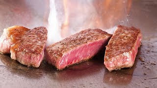 Japanese Food Teppanyaki - $144 steak lunch in tokyo - teppanyaki in japan ( Oh My God )