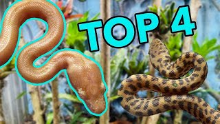 Celebrity The Best Australian beginner Snakes! Profile
