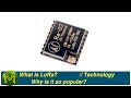 145 what is lora  tutorial quickbits