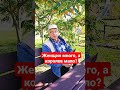 Женщин много, а королев мало?