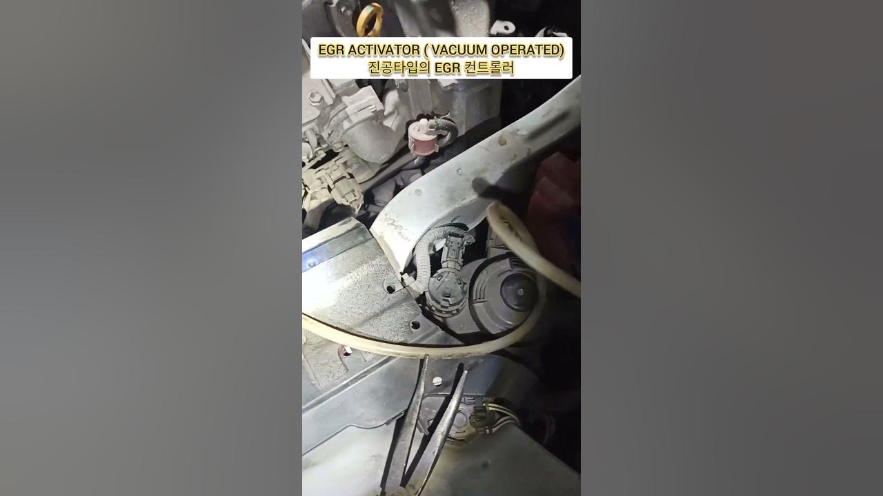 P0400 EGR FLOW Exhaust Gas Recirculation Flow shorts 쇼츠 P0400 EGR