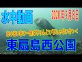 水中動画（2020年9月8日）in 東扇島西公園
