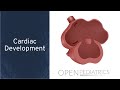 "Cardiac Development' by Lisa McCabe for OPENPediatrics