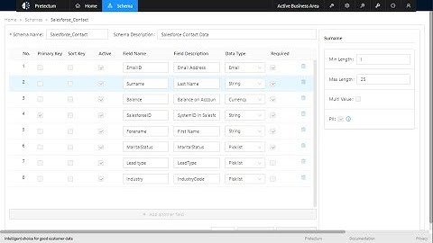 Pretectum Customer MDM Data Management