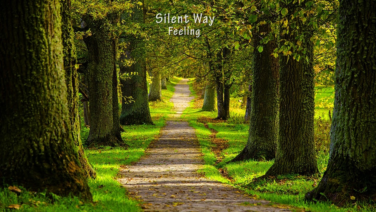 Guarda Silent Way - Feeling su YouTube Guarda Silent Way - Feeling su YouTube