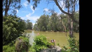 Barham Caravan & Tourist Park