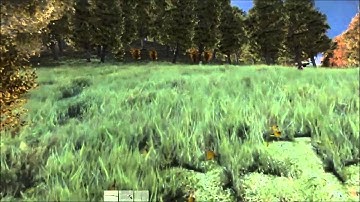 Firing Squad (DayZ Standalone)