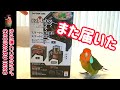 アウトドアグッズまた届いた【ちょい悪インコ】カマドスマートグリルB6型　CHOIWARU INKO