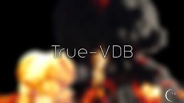 True-VDB Teaser