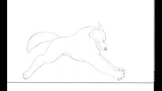 Wolf Charging Practice Animation