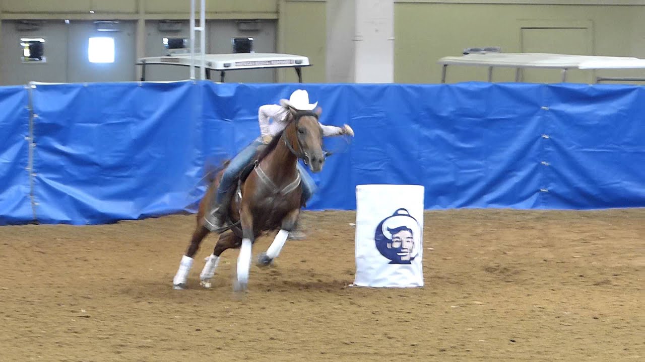Valley View Ranch horse "Sonofagun" in training State Fair of TX race