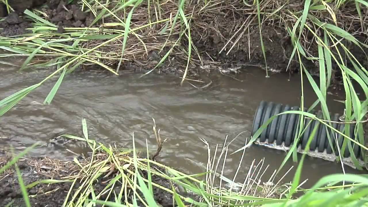 Farm BasicsDrain Tile 621 (From Ag PhD 621 2/28/10) YouTube