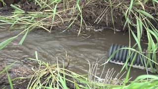 Farm Basics-Drain Tile #621 (From Ag PhD #621 2/28/10)