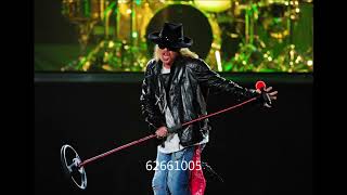 Watch Guns N Roses If The World video