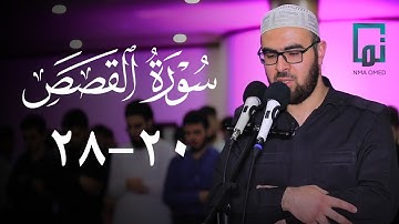 سورة القصص (٢٠-٢٨) #یحیی_الشيخاني  ‏#YahyaALshaikhani