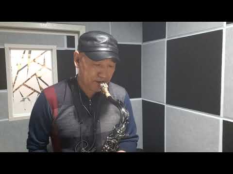 목포행완행열차(장 윤정)