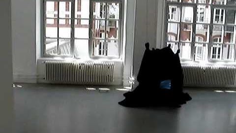 generations 2010.wmv