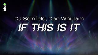 DJ Seinfeld, Dan Whitlam - If This Is It // LYRICS [Electro-Pop/House]