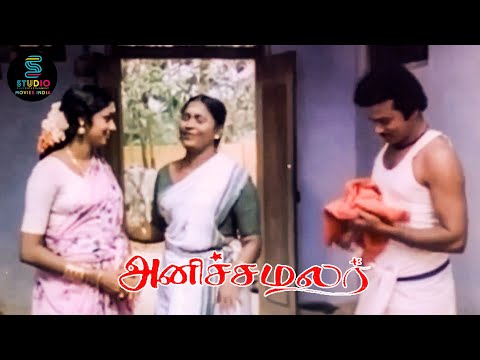 அப்பனுக்கு புள்ள தப்பாம இருக்கு! | Anicha Malar | Raja Bahadoor | Suruli Rajan | Manorama