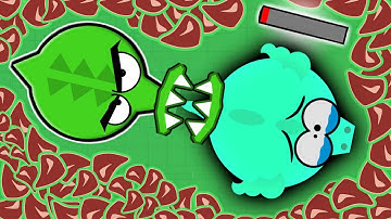 Mope.io - CROCODILE DESTROYS DRAGON! + Mope.io Blue Whale/Zebra Trolling (Mope.io Funny Moments)