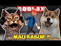 Kabur dari penjara mengerikan ft ginobono  siren cops prison scary obby  roblox indonesia